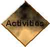 Activities_copper.jpg